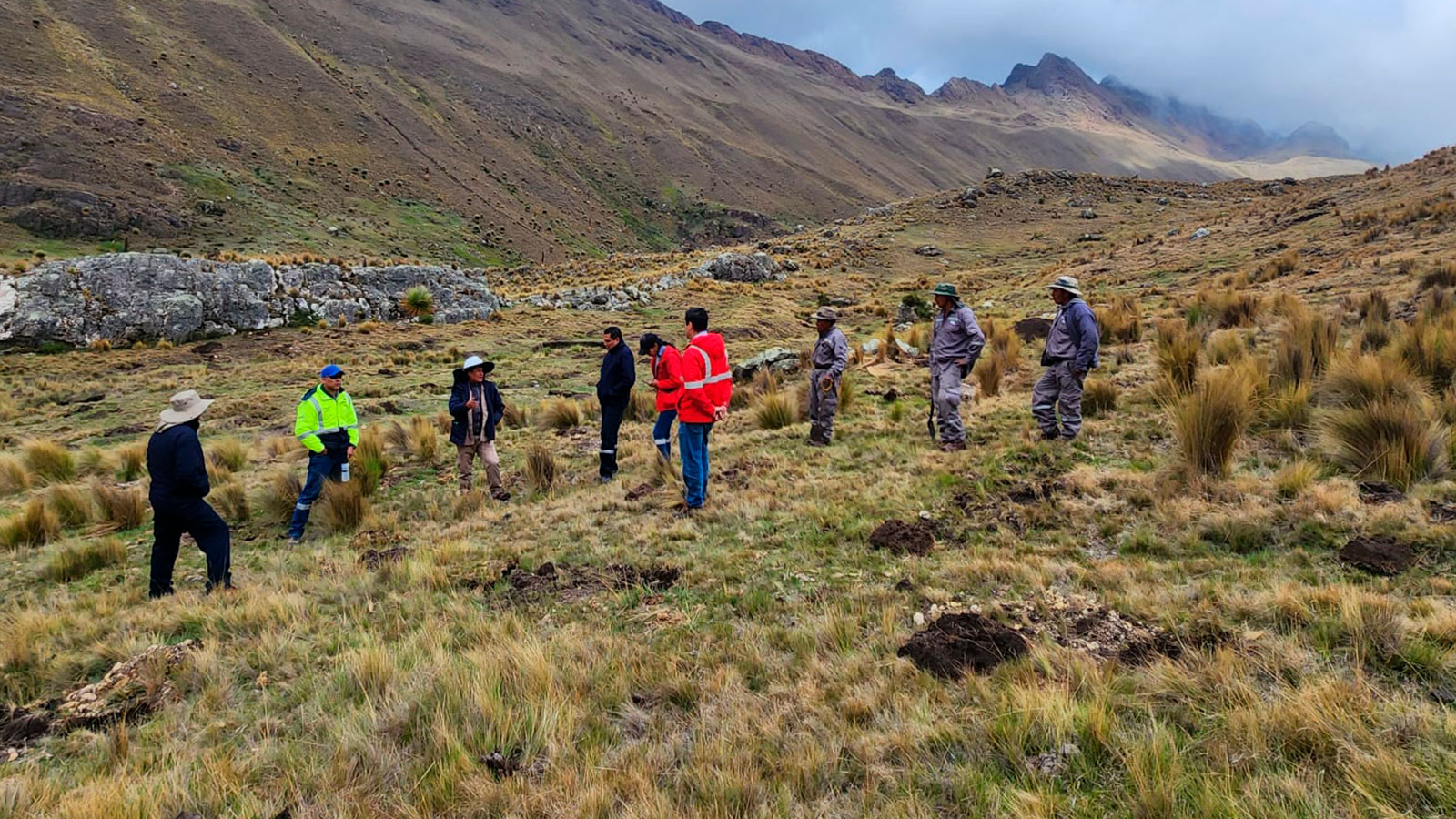 Más de 280.000 especies forestales fueron plantadas en el Parque Nacional Carrasco